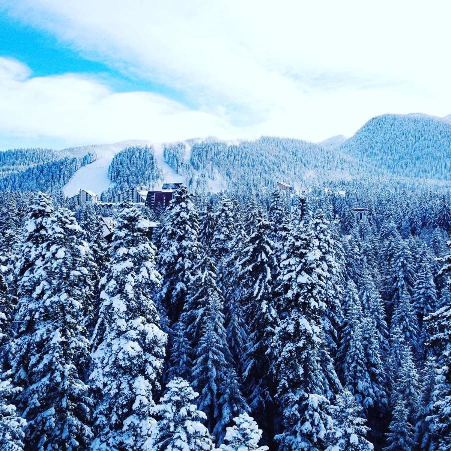 Mountain Paradise In Aparthotel Borovets Gardens Ngoại thất bức ảnh