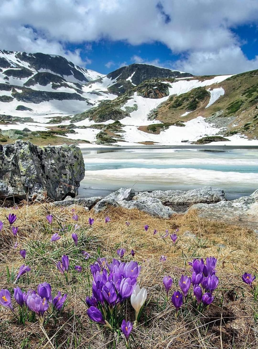 Mountain Paradise In Aparthotel Borovets Gardens Ngoại thất bức ảnh